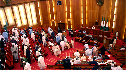 Senate passes amnesty bill