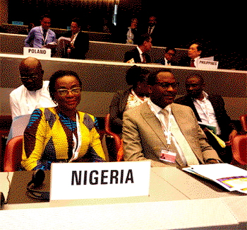 Nigeria got it right at tobacco treaty talks—ERA/FoEN