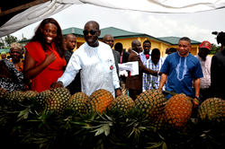 Funds, low quantity of feed challenges of agribusiness in Nigeria – Agriculturists
