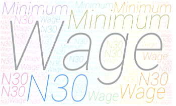 National Minimum Wage: Need to move from exclusive to concurrent legislative list (2)