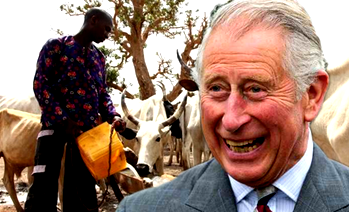 Prince Charles at 70: man on a mission