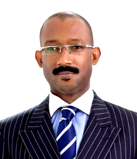 Govt must develop investment ready projects for gas infrastructure – Mgbenwelu