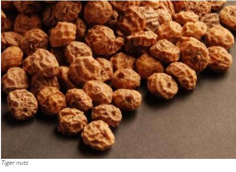 How unregistered tiger nut drink caused cholera outbreak in Lagos — Official