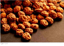 Katsina to begin export of tiger nuts, hibiscus sorrel — Gov. Masari