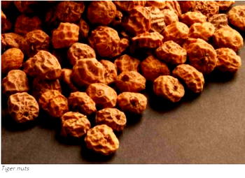 Katsina to begin export of tiger nuts, hibiscus sorrel — Gov. Masari