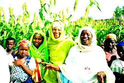 98 percent of female farmers in Osun creditworthy – BOA