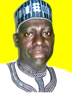 DSS nabs ISIS bomb expert in Adamawa