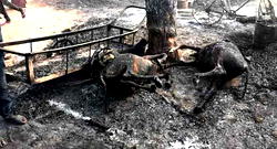 How the North became a killing field