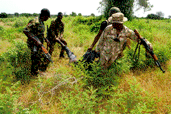 Troops go offensive, dislodge Boko Haram