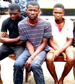 We decided to kidnap our boss because she’s wicked – Drivers