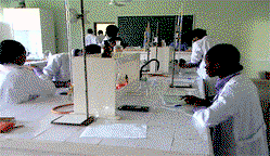 APWEN calls for equality of women and girls in science