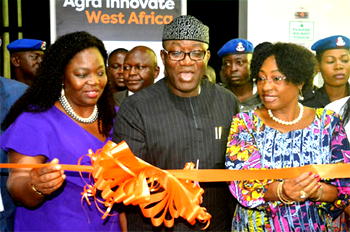 Access to finance critical to growth of agric sector — Gov. Fayemi