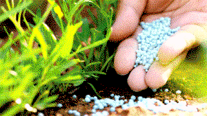 We‘ll partner farmer groups to tackle fertilizer adulteration — FEPSAN