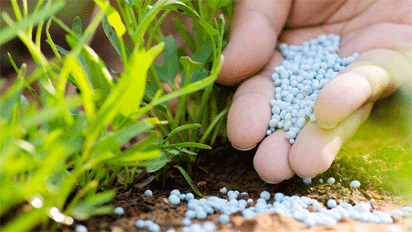 OCP Africa signs N40m pact with Agric institutions on specific soil fertilisers devt