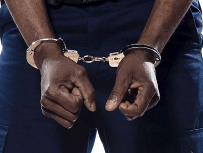 2 police sergeants, 18 others arrested for holding party despite lockdown in Delta