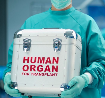 Organ harvesting