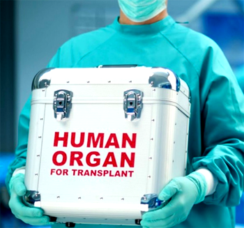 Delta, CAN, Onu-Ika step up campaign against organ harvesting