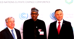 Nigeria, other at-risk nations to make case at UN climate summit