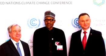 Nigeria, other at-risk nations to make case at UN climate summit