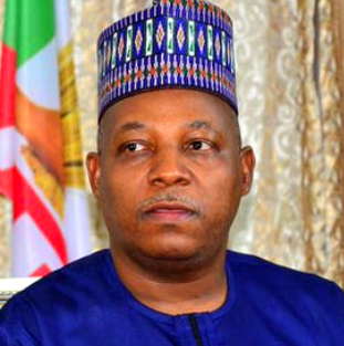 I Wouldn’t Mind Being a Cabal – Shettima