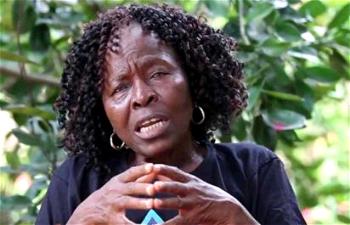 Fayemi mourns Prof Sophie Oluwole’s death