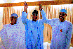 Buhari wins in Ogun with 14 LGs