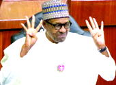 2019: Why Ijaws will queue behind Buhari for 2nd term -IYC