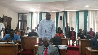 My committee will ensure speedy passage of 2019 budget- Hon. Emeneka