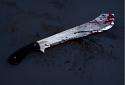 APC chieftain in A-Ibom machetes Gov’s Aide