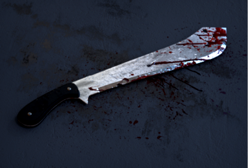Female poly student macheted to death in Ibadan