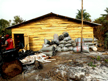 Fire guts exhibits at Ekiti NDLEA office