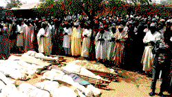 Cartels responsible for Zamfara killings
