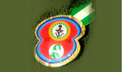Bagudu launches Armed Forces Remembrance Day emblem with N20m