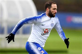Zola expects Higuain to make flying start at Chelsea