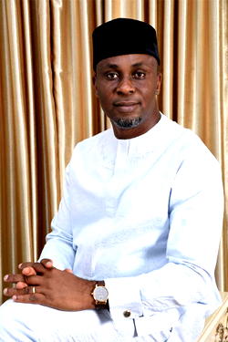 Iwuanyanwu, Nwobodo, Ezeigbo, Chukwu others bag Ndigbo Times Merit Award