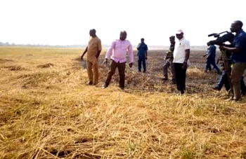120,000 Kano rice farmers to benefit from CBN’s Anchor Borrower programme
