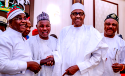 APC sweeps polls in Kebbi units
