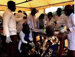 Prince Osisioma Foundation engages Ukpo Community in free medical outreach