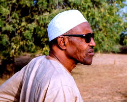 2019 Presidential election results: Buhari polled  over 15m votes