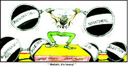 Elections