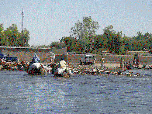 A decade after: Developing strategies to tackle crisis in Lake Chad ...