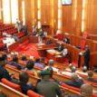 Senate says economy in danger, as FG spends N11trn on subsidy payment in 6 yrs
