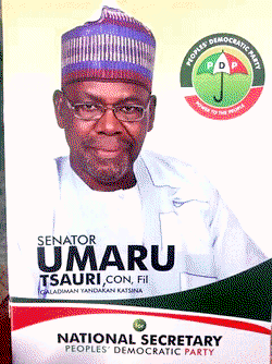 PDP Natl. Sec, Tsauri, former PDP gov. Shema lose LGAs to Buhari