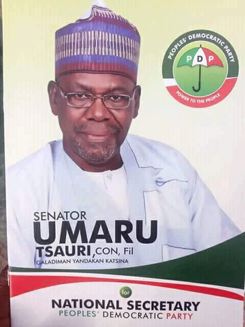 PDP Natl. Sec, Tsauri, former PDP gov. Shema lose LGAs to Buhari