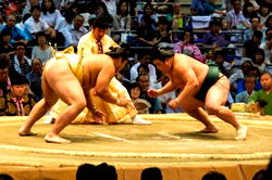 No more ‘lucky’ beards: Japan’s sumos hit by whisker ban