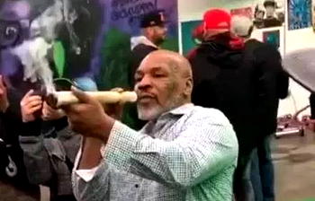 Tyson attempts to become Heavy-weed champion