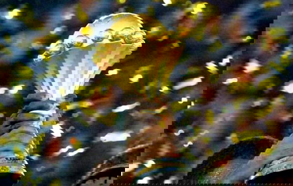 AFCON: Buhari appoints Gbaja leader of delegation to Cameroon