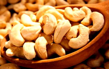 Kogi losses N50bn in cashew nuts