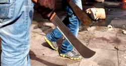 Police nab notorious cult kingpin, 8 others in Ikorodu