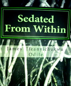 Sedated from Within: A catalogue of Nigeria’s litany of woes